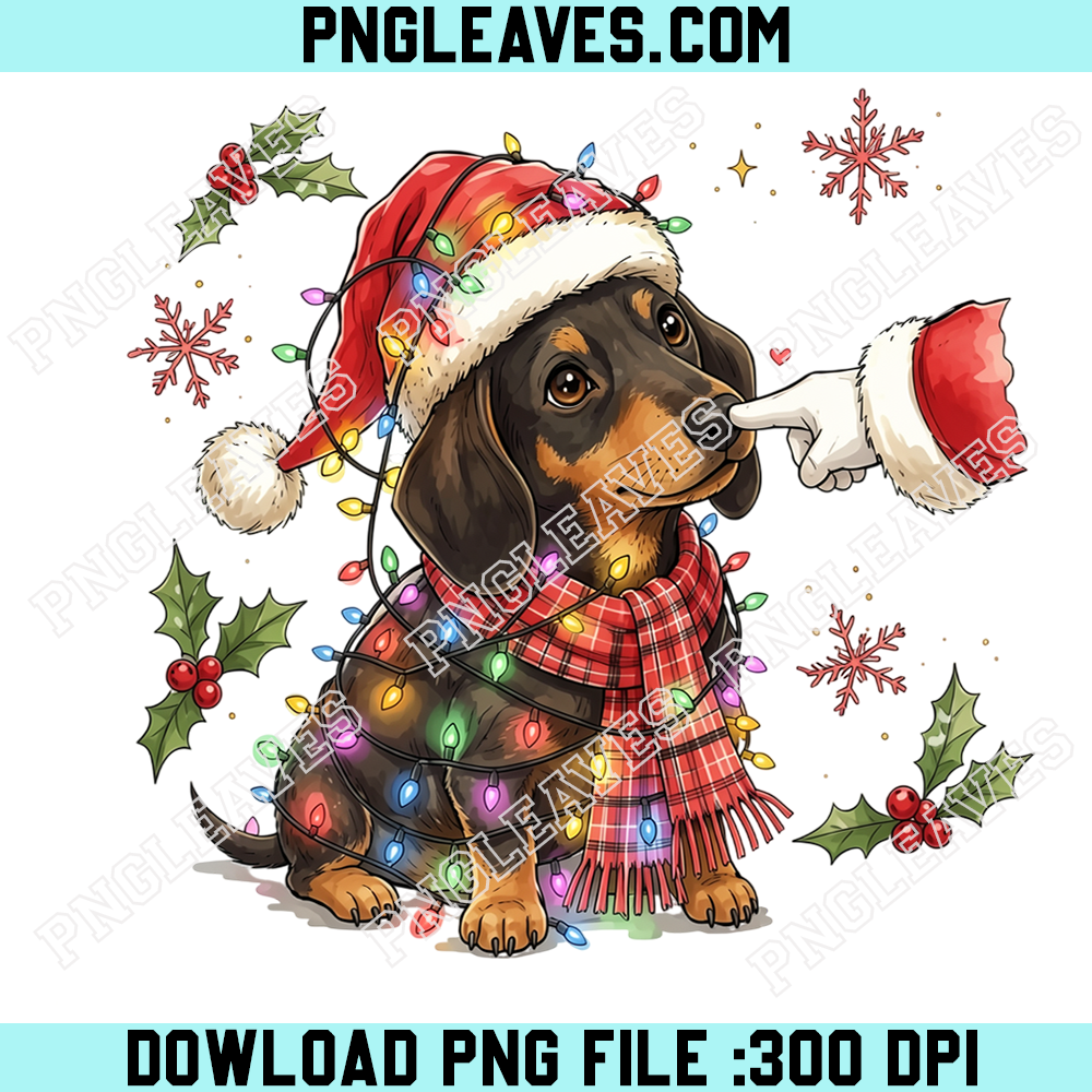 Dachshund Christmas Santa Hat PNG, Cute Wiener Dog Holiday Lights PNG