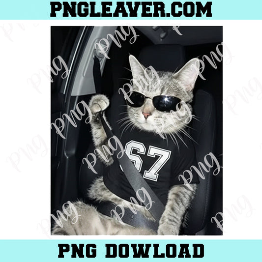 67 Cat Wearing Sunglasses Gen Alpha Funny Png, Six Seven 6 7 Meme Png