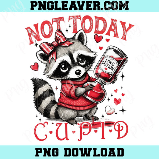 Not Today Cupid Funny Raccoon Valentines Day Png, Cute Animal Sarcastic Valentines Feral Png