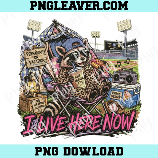 Raccoon Ballfield Softball Travel Tee Png, Baseball Mom Boys Png, Funny Raccoon Png