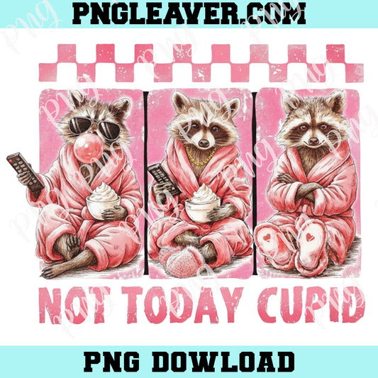 Snarky Raccoon Valentine's Day Png, Not Today Cupid PNG, Sarcastic Valentines Day Png, Sassy Humor Vday Png